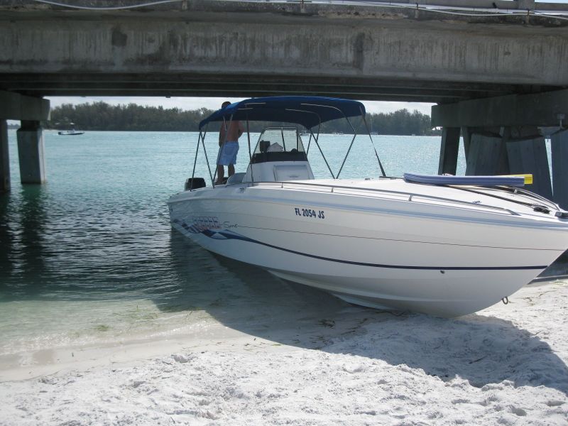 Wellcraft 302 Scarab Sport