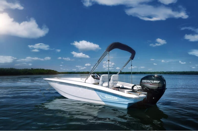 Boston Whaler for Sale