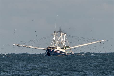 Hatteras Shrimp Boat