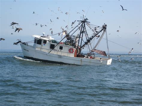 Oceanic Shrimp Trawler